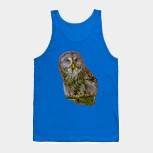 The Phantom of the North - The Great Grey Owl Tank Top